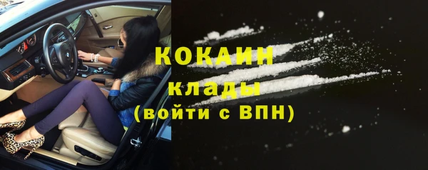 крисы Аркадак