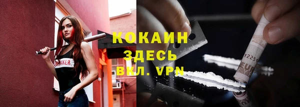 винт Арсеньев