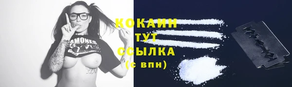крисы Аркадак