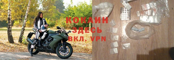 крисы Аркадак
